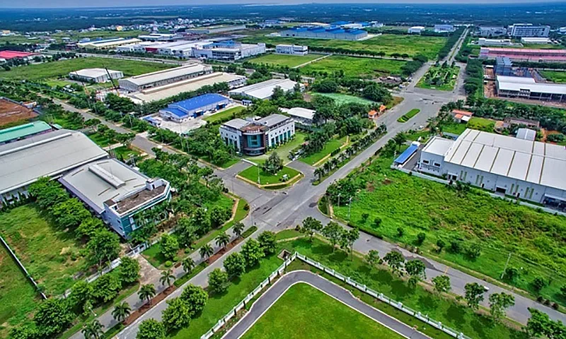 Định nghĩa và các loại hình chính
