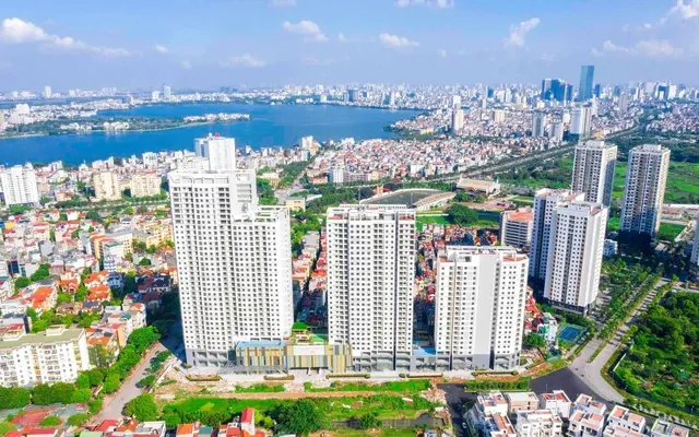 Tình hình cung cầu và giá cả ở các phân khúc