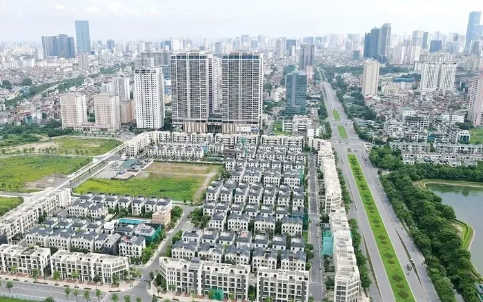 Tác động từ chính sách và kinh tế vĩ mô
